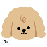 04 香檳貴賓犬