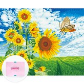 해바라기와 나비