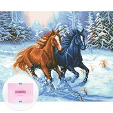 눈 위를 달리는 말