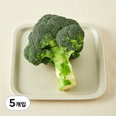 1개입