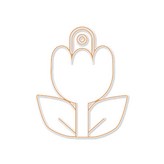 鬱金香