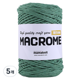 단색52인디그린