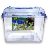 單一顏色 × 1個