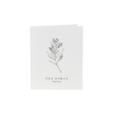 혼합색상 카드 + 화이트 카드봉투 × 10개