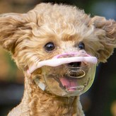 DCM-A-PK(蘋果粉) × 1個