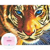 푸른눈의호랑이