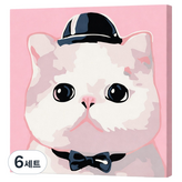 11 뚱한 냥이