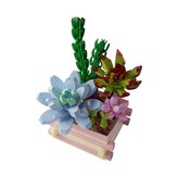 晨曦之藍 × 1盒