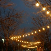 전등선(블랙), 벌브(전구색) × 1세트