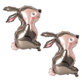 트럼펫 정글 토끼