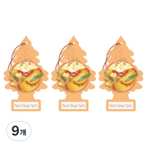 피치 진저 스프리츠