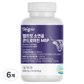 60정 × 6개
