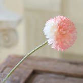 粉紅色 × 5個