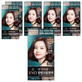 6C  (커피브라운)