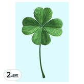 四葉草