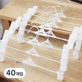 화이트 × 40개