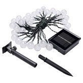 黑色 + 透明色 × 1組