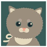 귀여운아기고양이먼지