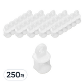 白色 × 250個