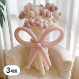 16 로즈 크림 데이지