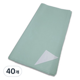 22 라이트그린 그린화이트