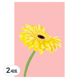 黃色非洲菊