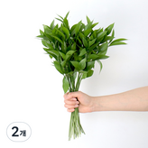 혼합색상 × 2개