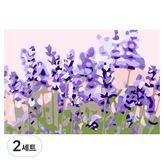 迷你薰衣草
