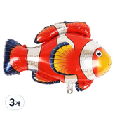 14 물고기 오렌지