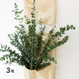 혼합색상 × 3개