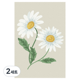兩朵雛菊