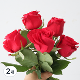 파이어리 레드 × 2개