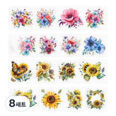 레인보우, 옐로우