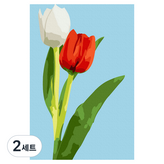 兩朵鬱金香