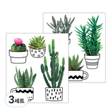 GS-5009 선인장화분