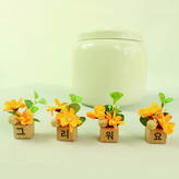 橘色 × 1套