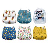 四季綻放 多色 × 1組