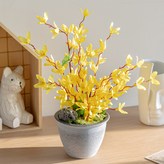 30개나리 × 1세트