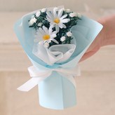 데이지스카이 × 1개