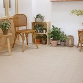 샌드베이지 × 36개