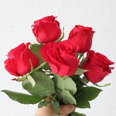 파이어리 레드 × 1개