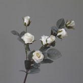 화이트 × 1개