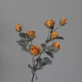 오렌지 × 1개