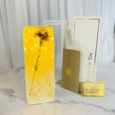 01_基本24k黃金嘉年華 × 1個