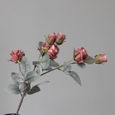 레드 × 1개