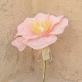 柔和粉紅色 × 1套