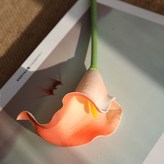 珊瑚色 × 10個