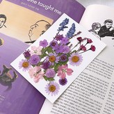 紫色花園 × 1套