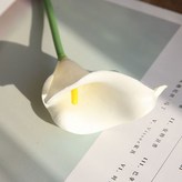 白色 × 10個