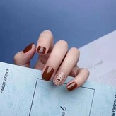 71 크림 브라운 베어(HS-165)